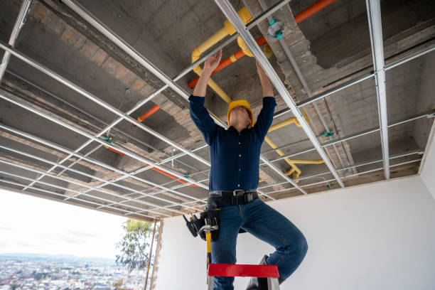 Best Affordable Plumber Near Me  in Barneveld, WI