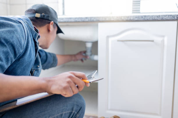 Best Clogged Drain Plumber  in Barneveld, WI
