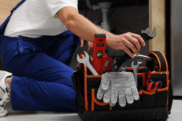 Best Local Plumber Services  in Barneveld, WI