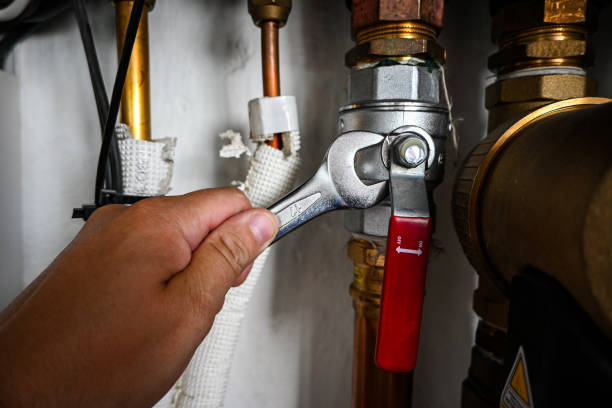 Best Plumbing Services Near Me  in Barneveld, WI